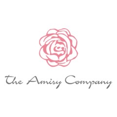Cupones y códigos promocionales de theamisycompany.com